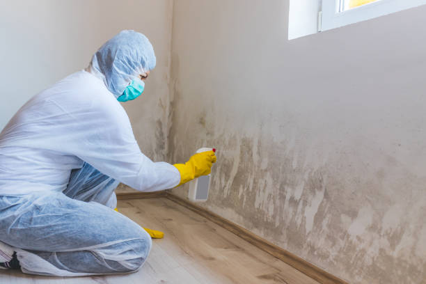 Mold Remediation specialist working in Murfreesboro