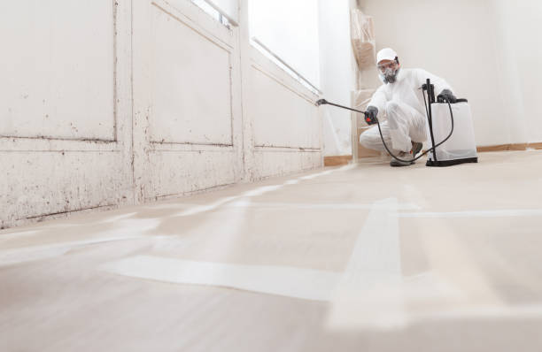 Black mold remediation team in Murfreesboro